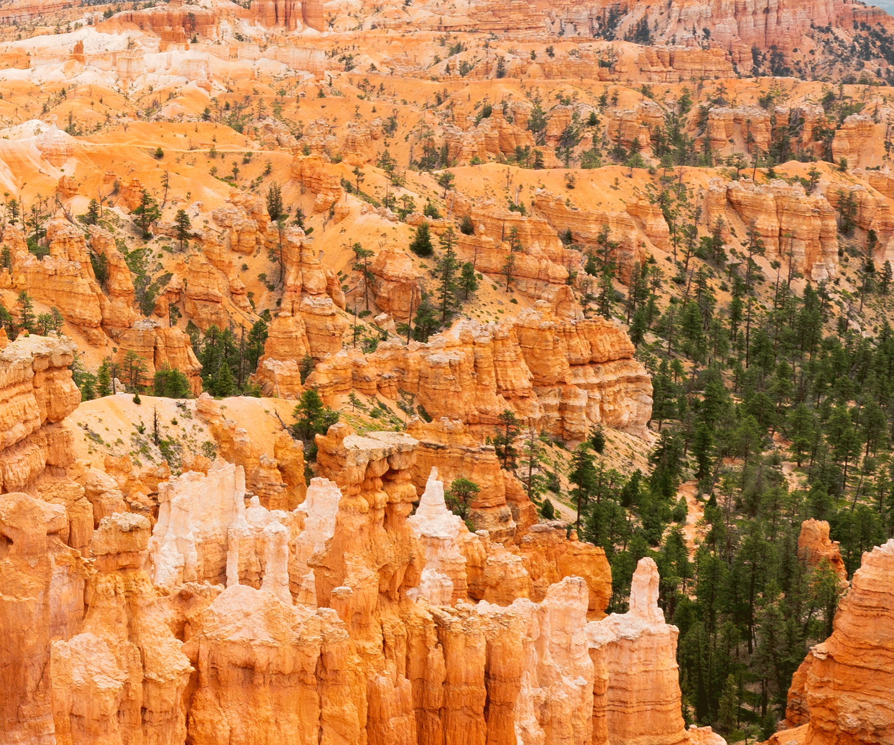 FUN STUFF image Bryce-Canyon_02.GIF